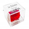 copy of Rosa eterna da personalizzare con foto