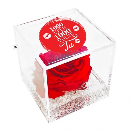 Rosa eterna  "1000 vite 1000 volte tu"