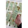 Kit 7 pz. Matita con semi da piantare con packaging  da personalizzare