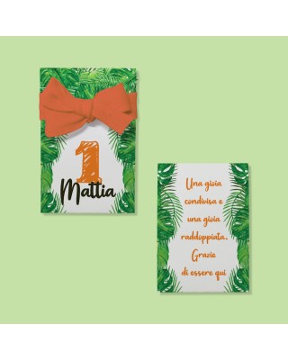 Kit 8pz astucci in carta per confetti "Linea Safari"