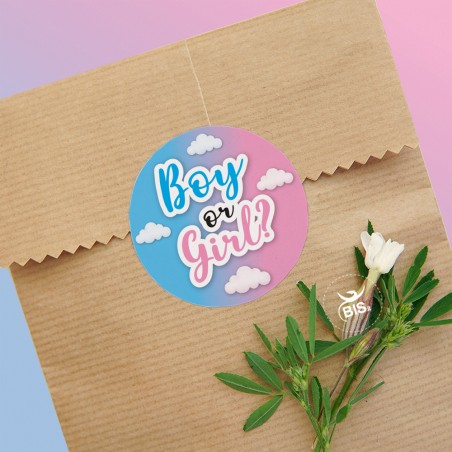 etichette adesive "Boy or Girl"