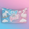 Striscione in PVC da esterno "Boy or Girl"