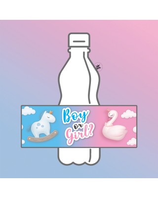 Etichette per bottiglia "Boy or Girl"