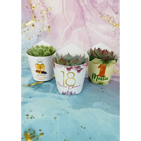 Kit 8/10 pz Piantina grassa "Linea Barcellona" da personalizzare