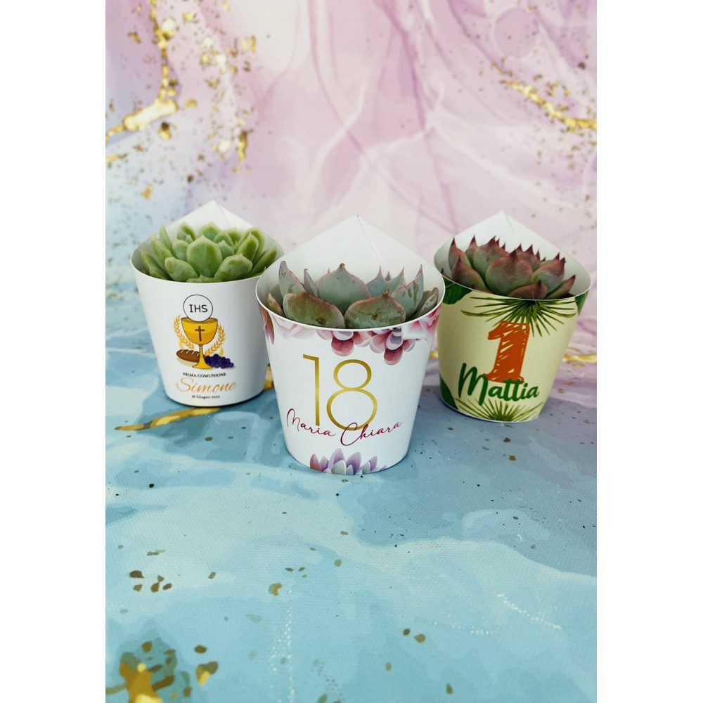 Kit 8/10 pz Piantina grassa "Linea Classic" da personalizzare