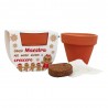 copy of Vasetto in terracotta "Felice Natale maestra" da personalizzare