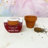 Vasetto in terracotta "linea natalizia" da personalizzare