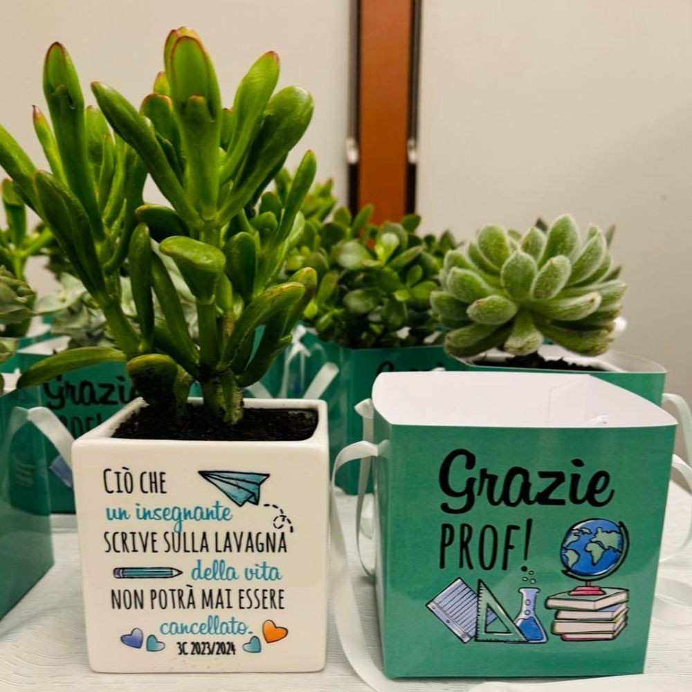 vaso più scatola regalo
