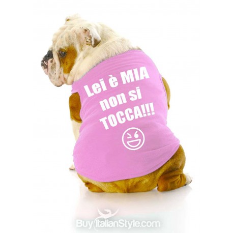 maglietta per cane