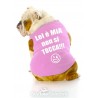 maglietta per cane