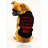 PeT T-Shirt "I've been Goodish all Year"