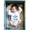 Personalized Baby Bodysuit Here I am "My name is ...  And I'm in charg
