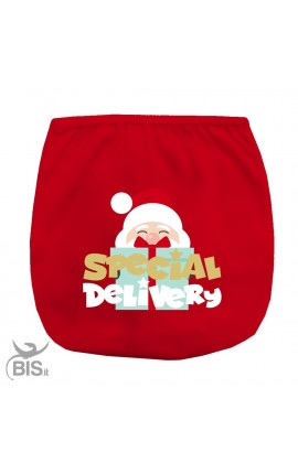 HO HO HO cover-diaper