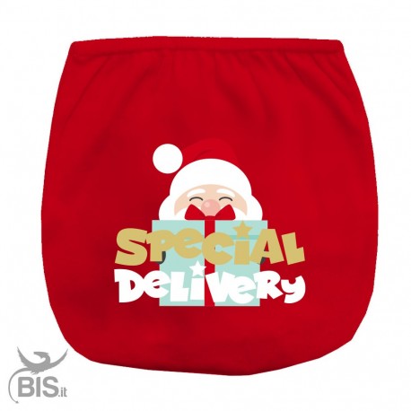 "SPECIAL DELIVERY" cover-diaper